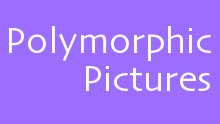 Polymorphic Pictures