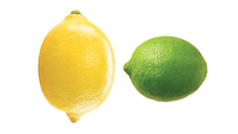 Lemon Lime Agency