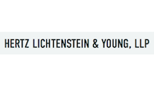 Hertz Lichtenstein & Young, LLP
